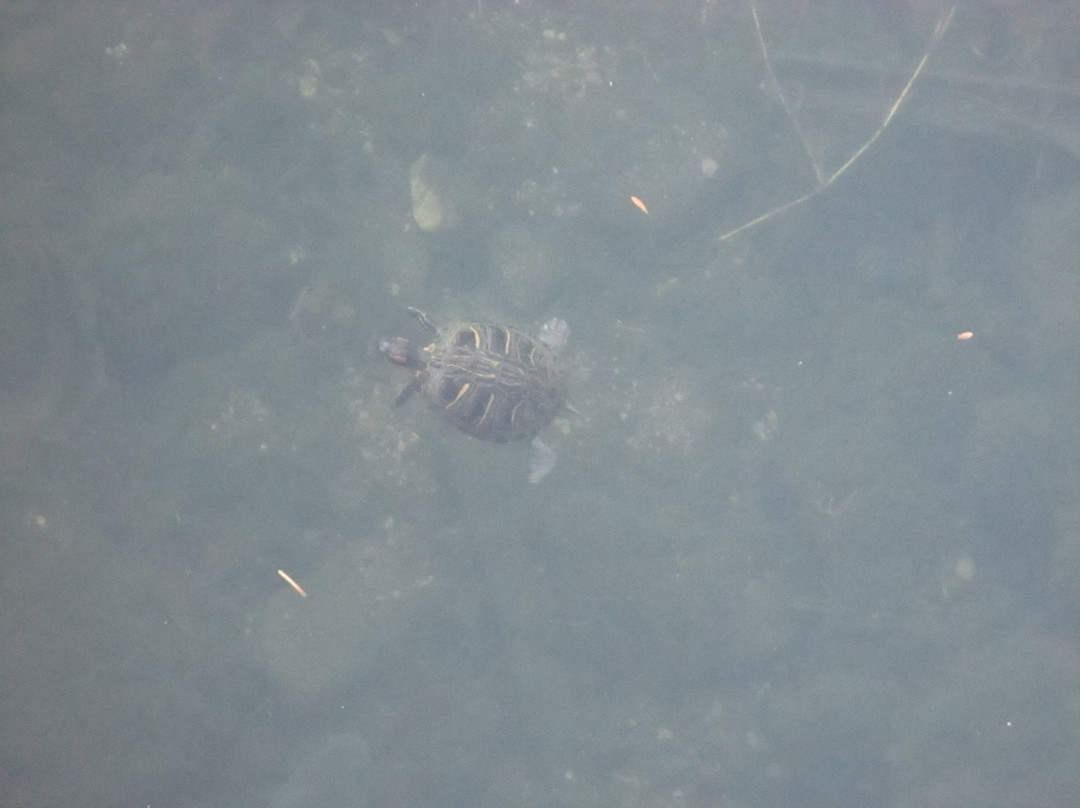 朴根佑-圣安东尼奥市必去景点