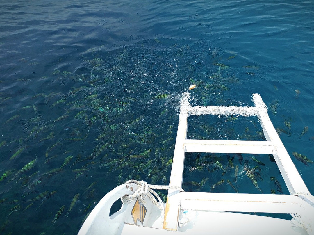 Go Green Tour-卡里蒙加瓦必去景点
