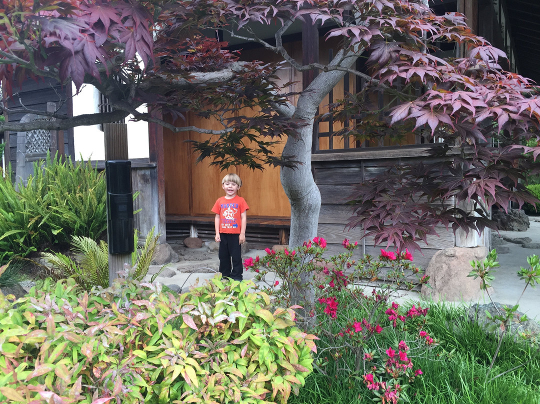 The San Mateo Japanese Garden-圣马特奥必去景点