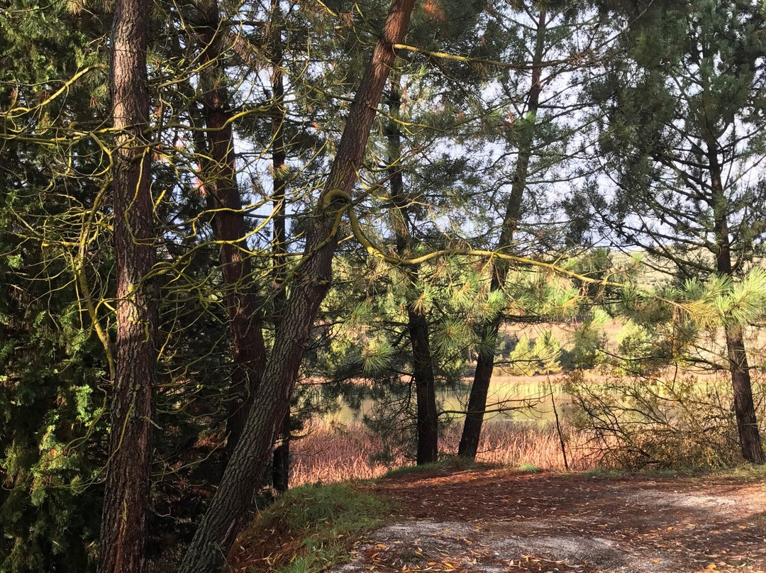 Hotel El Ventorro主图