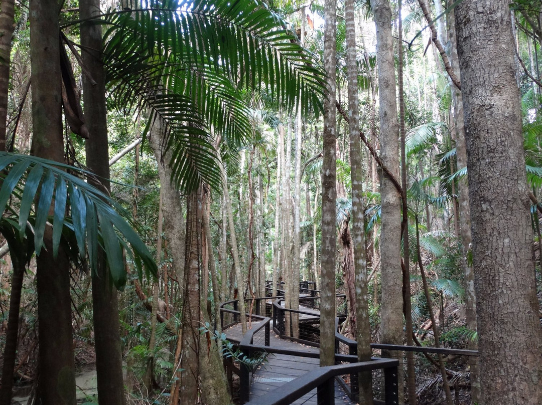 Australian Offroad Academy-弗雷泽岛必去景点