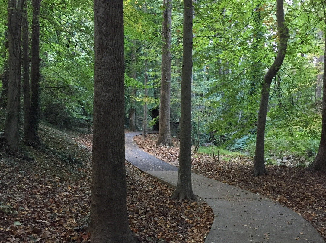 Wilshire Trails Park-盖恩斯维尔必去景点