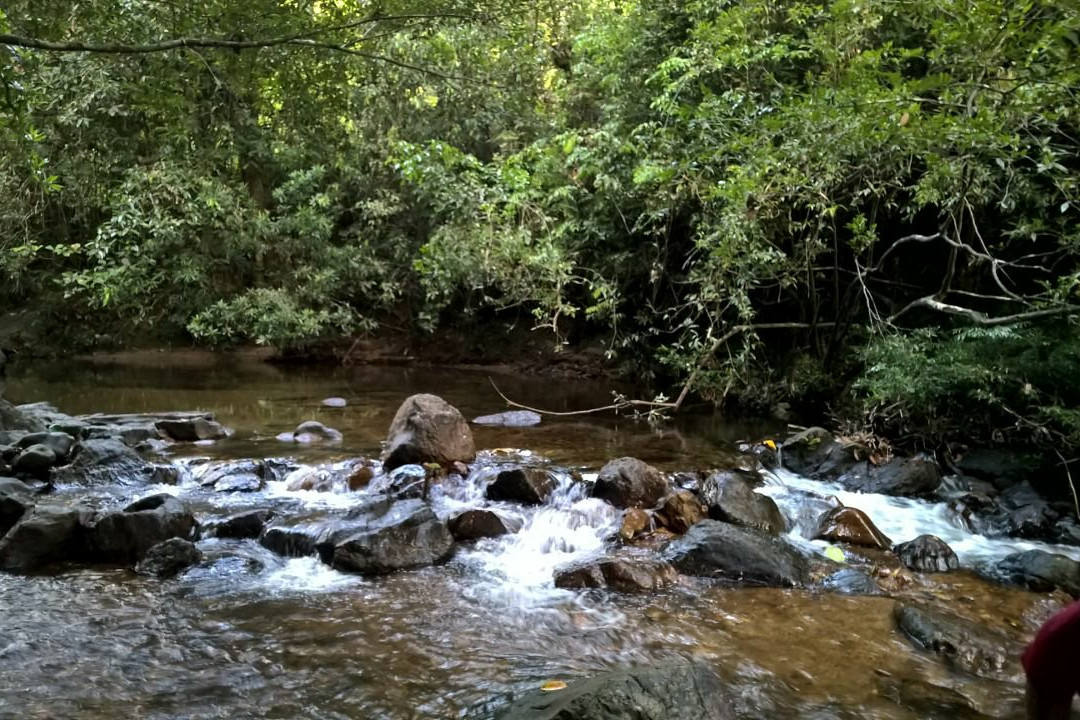 Kanneliya Forest Resort主图