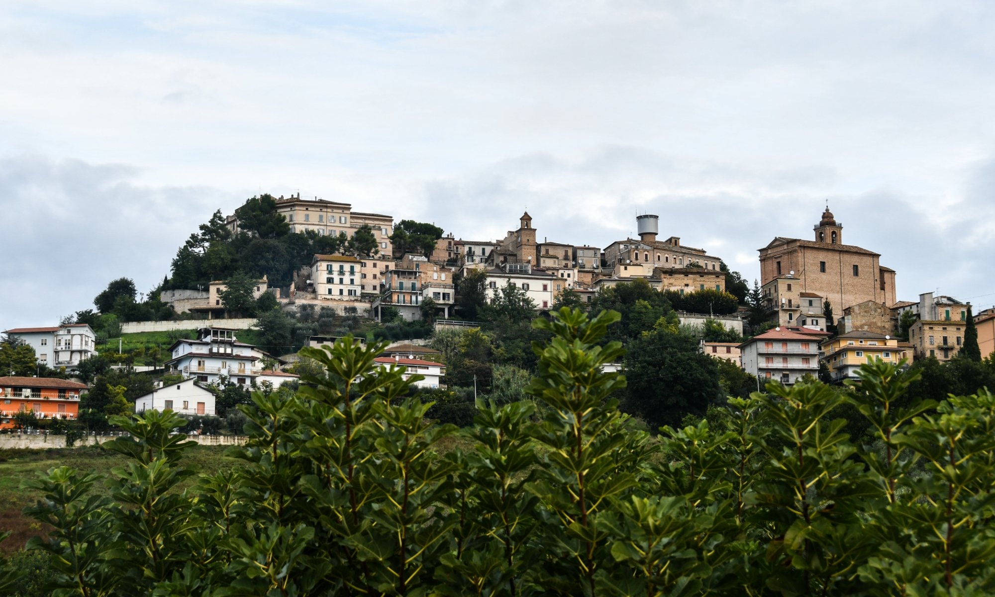 Panorama-官方