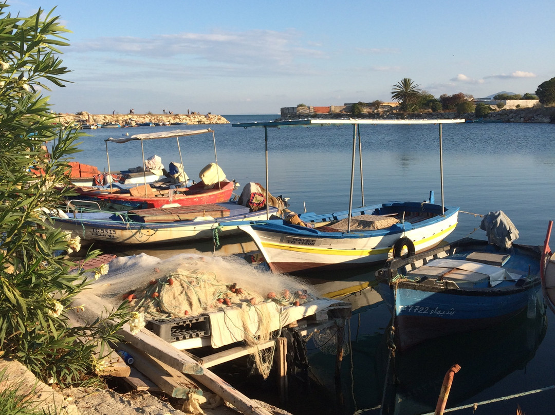 Punic Ports & Museum-迦太基必去景点