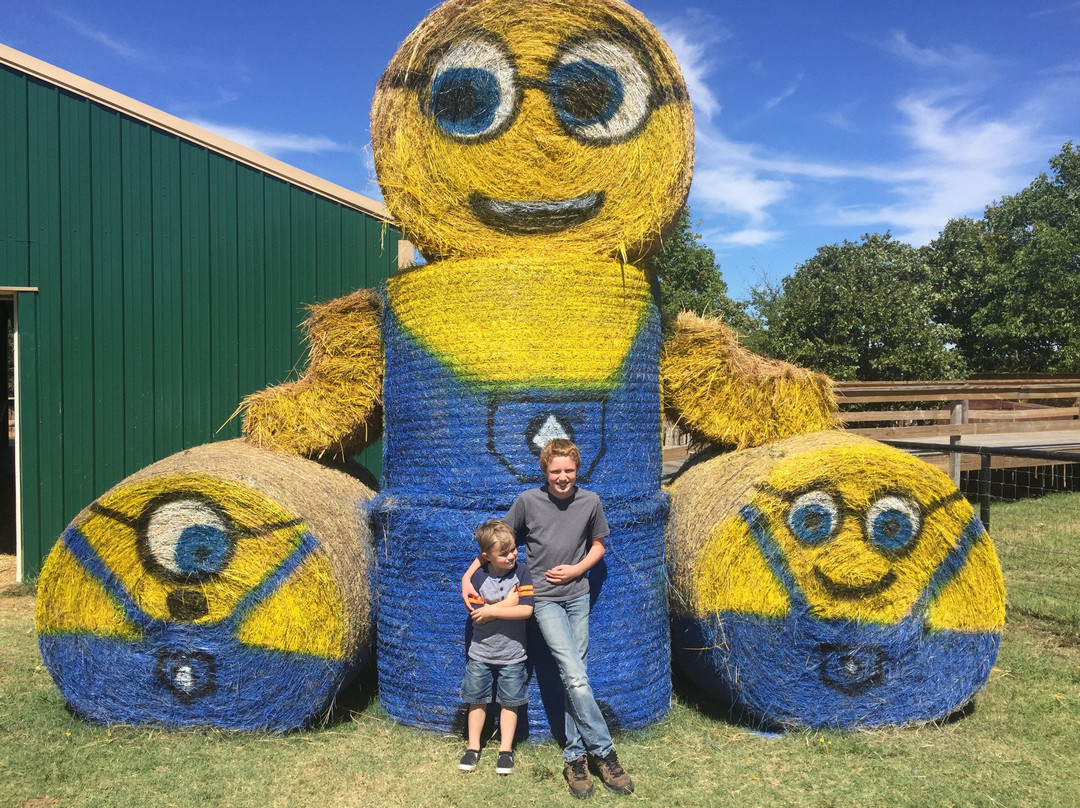 Coble Highland Ranch and Zoo-Henryetta必去景点