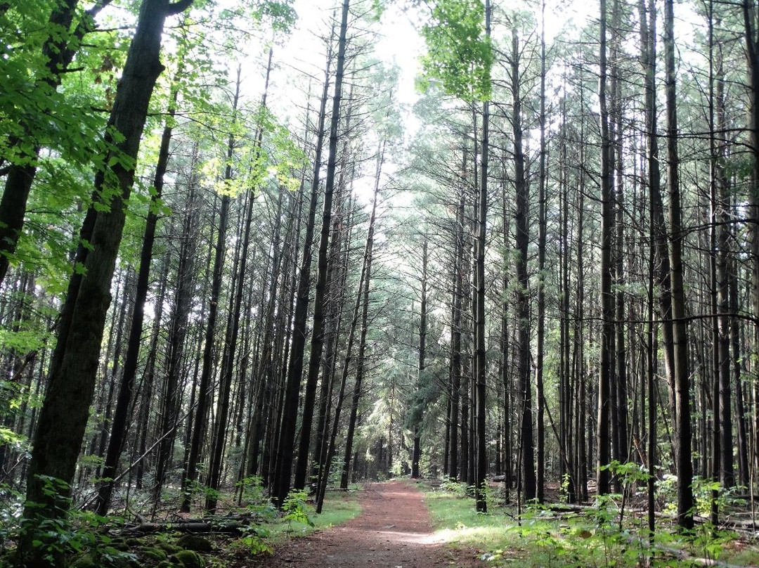 Robert Edmondson Conservation Area-Milton必去景点