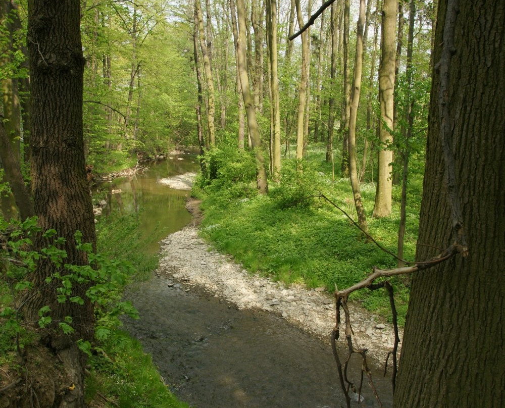 Hvozdnice Trail景点图片
