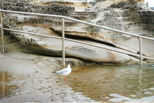 Manly Freshwater Parish-曼利议会必去景点