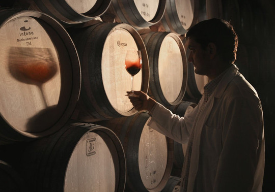 Sailing and Wine-格乔必去景点