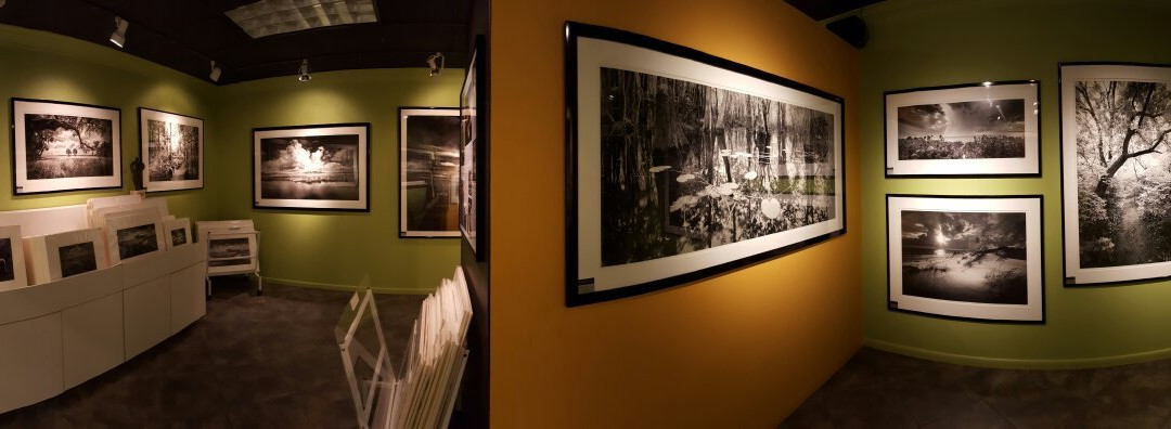 Clyde Butcher's Venice Gallery & Studio-威尼斯必去景点