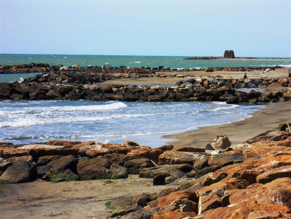 Palo Laziale旅游景点-Monumento Naturale Palude di Torre Flavia