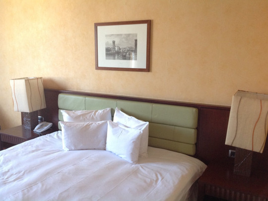 Casino Flamingo Hotel主图