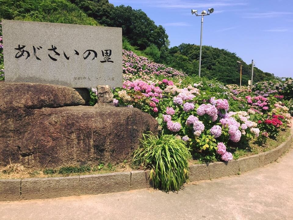 Katahara Tourist Association景点图片