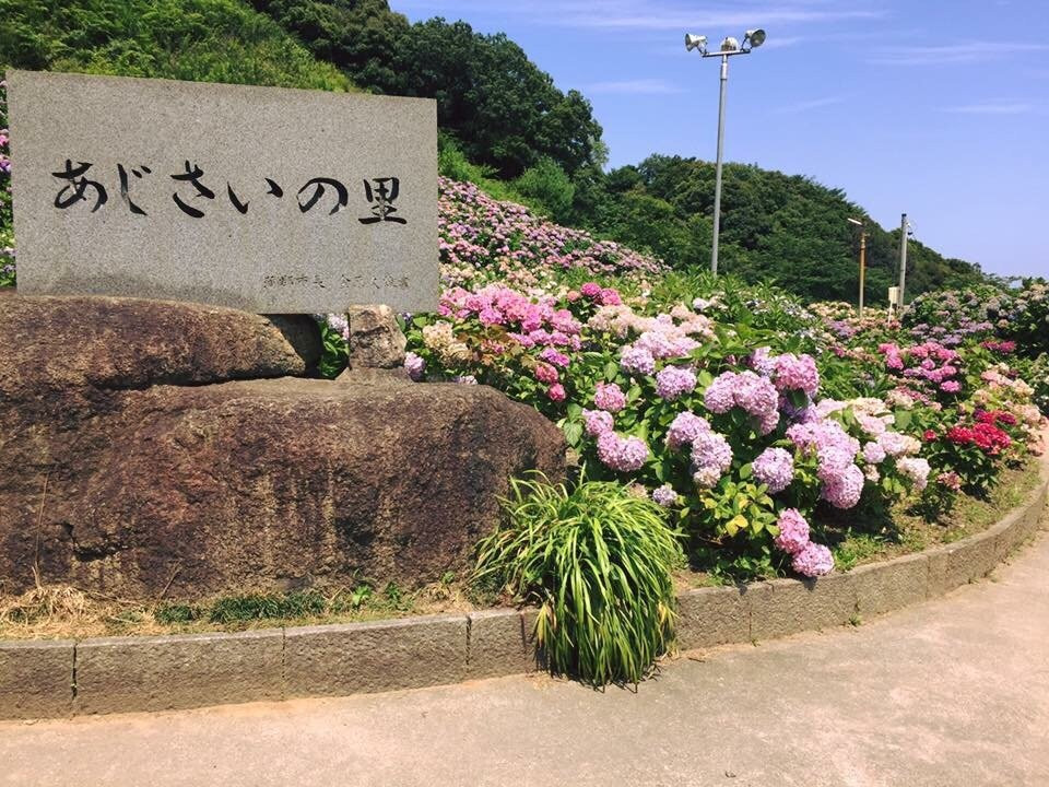 Katahara Tourist Association-蒲郡港必去景点