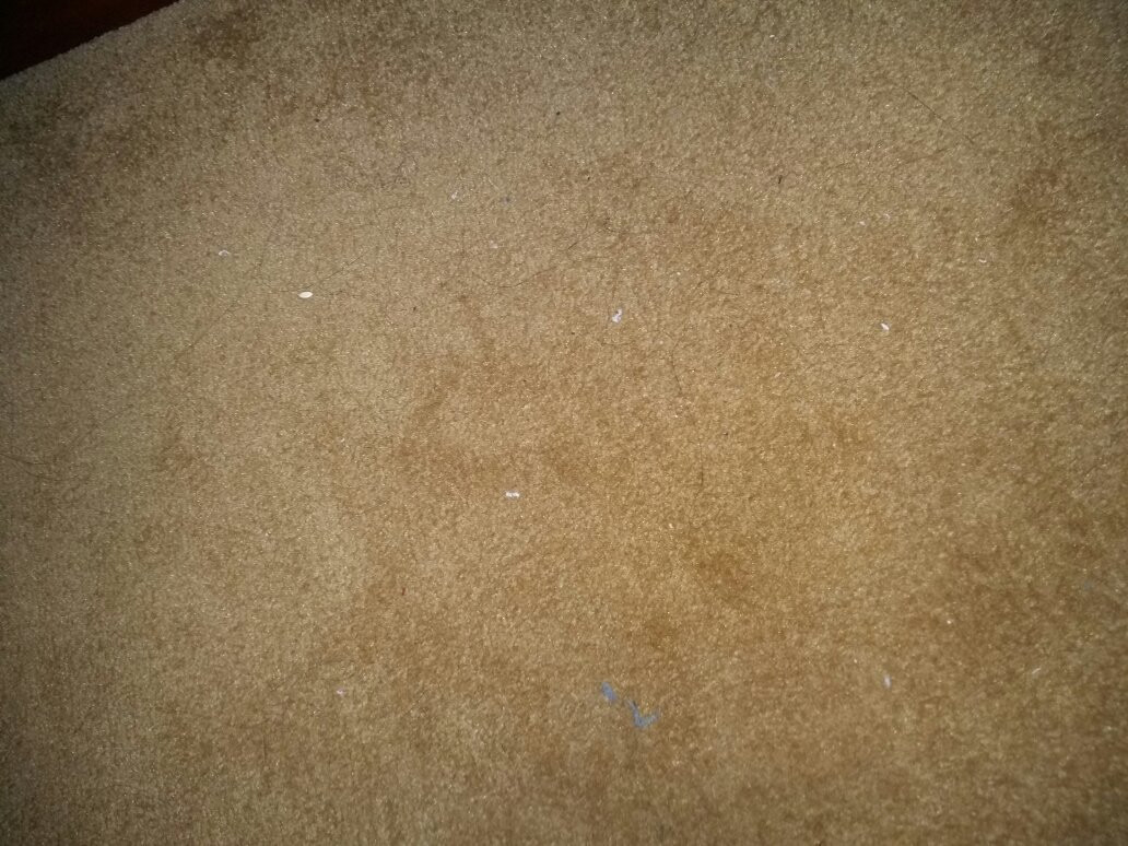 格林豪泰吉林世纪广场快捷酒店主图