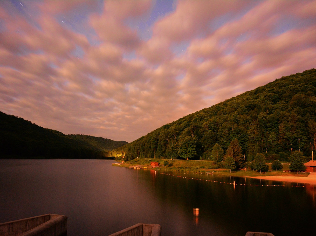 Lyman Run State Park