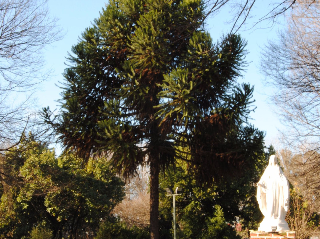 Parroquia San Sebastian-Yumbel必去景点