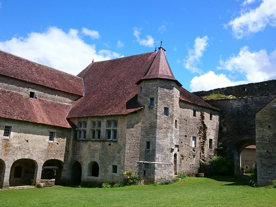 Château Fort d'Oricourt景点图片