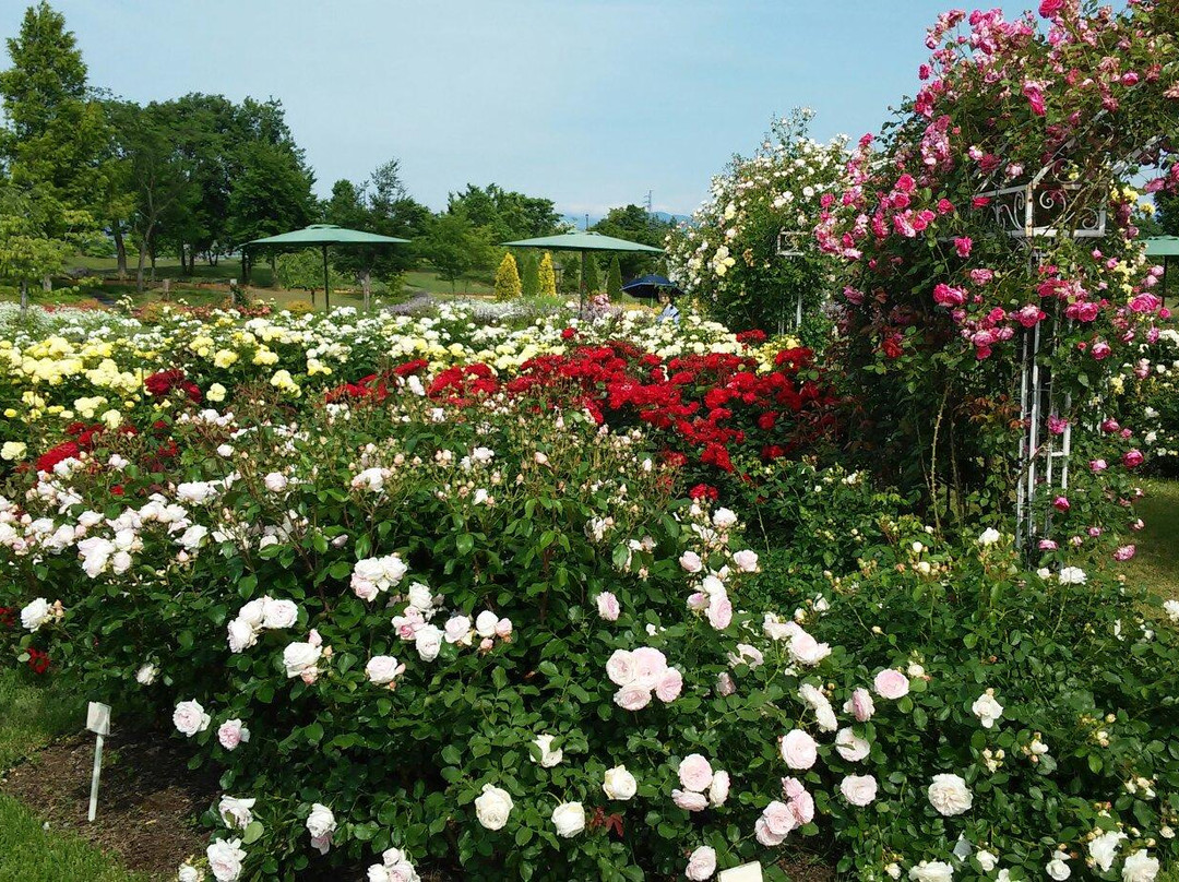 Mogamikawa Furusato General Park-寒河江市必去景点