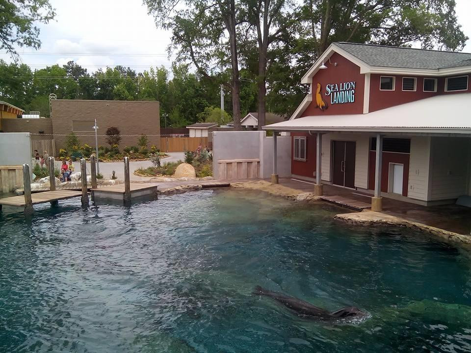 Sea Lion Landing-哥伦比亚必去景点