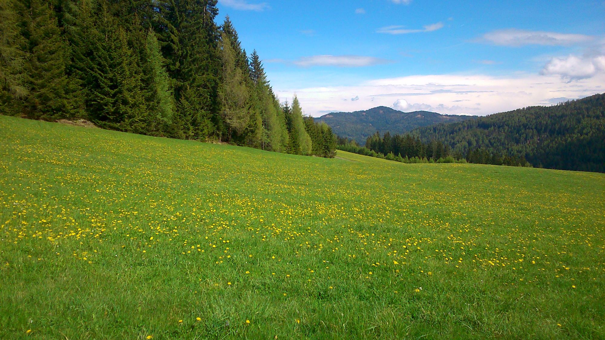 Gasthof zum Mohrn-官方