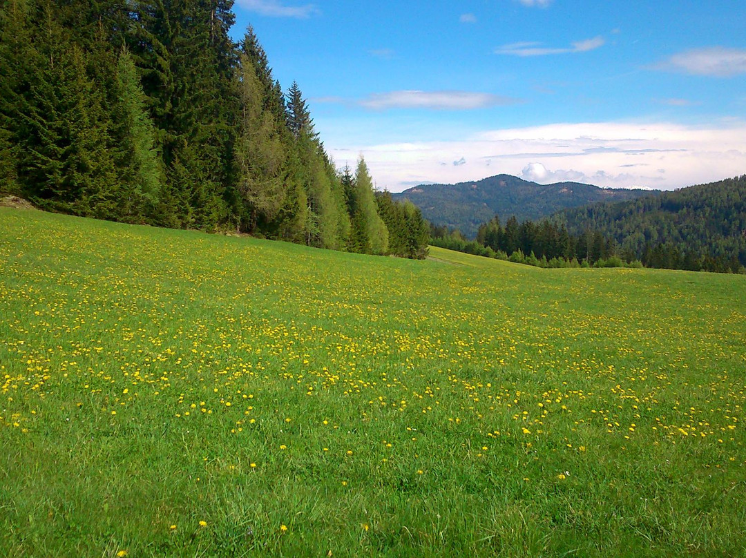 Gasthof zum Mohrn主图