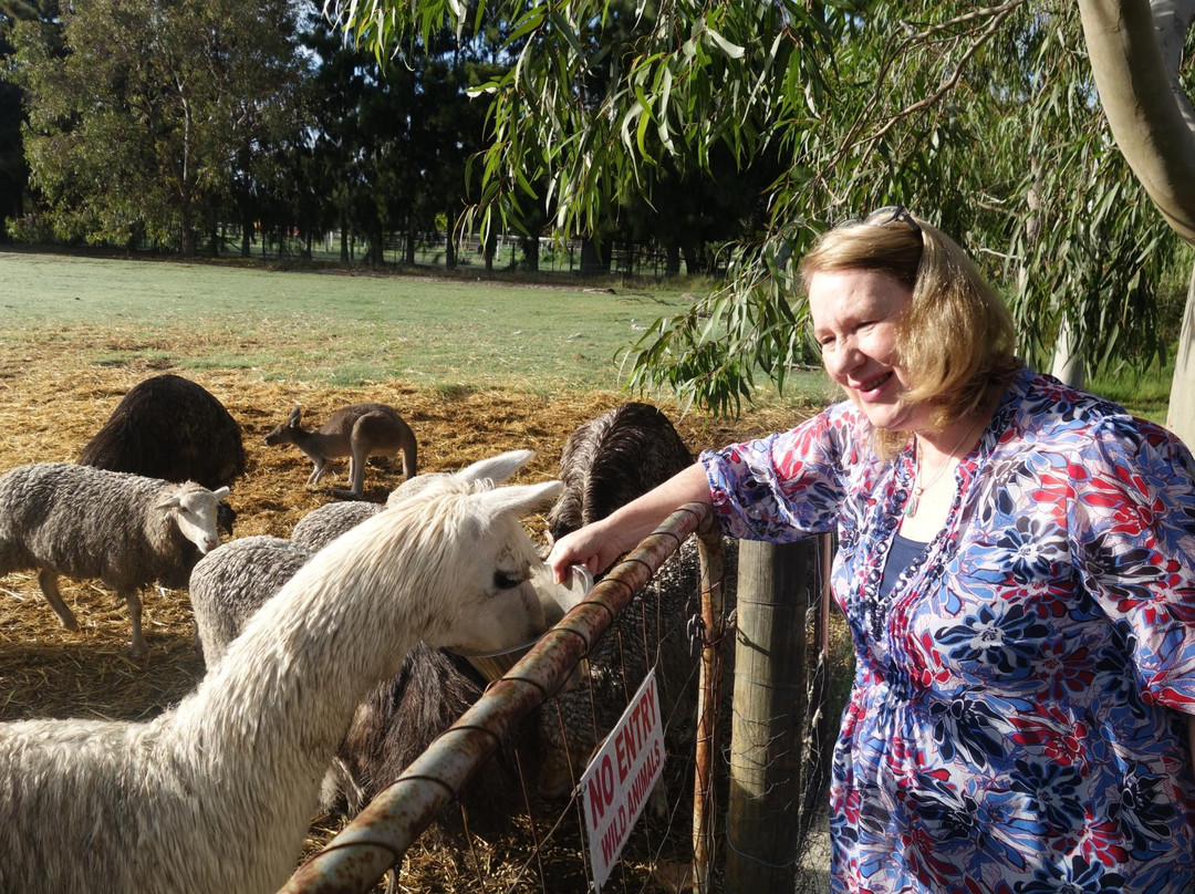 Enderslie House主图