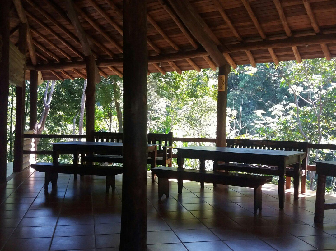 Parque Municipal Atalaia景点图片
