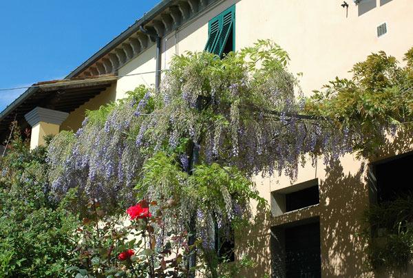 Casa Volpini-官方