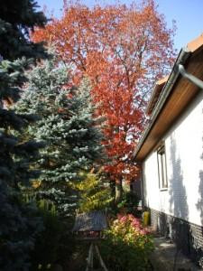 Boarding House  "Inge"主图