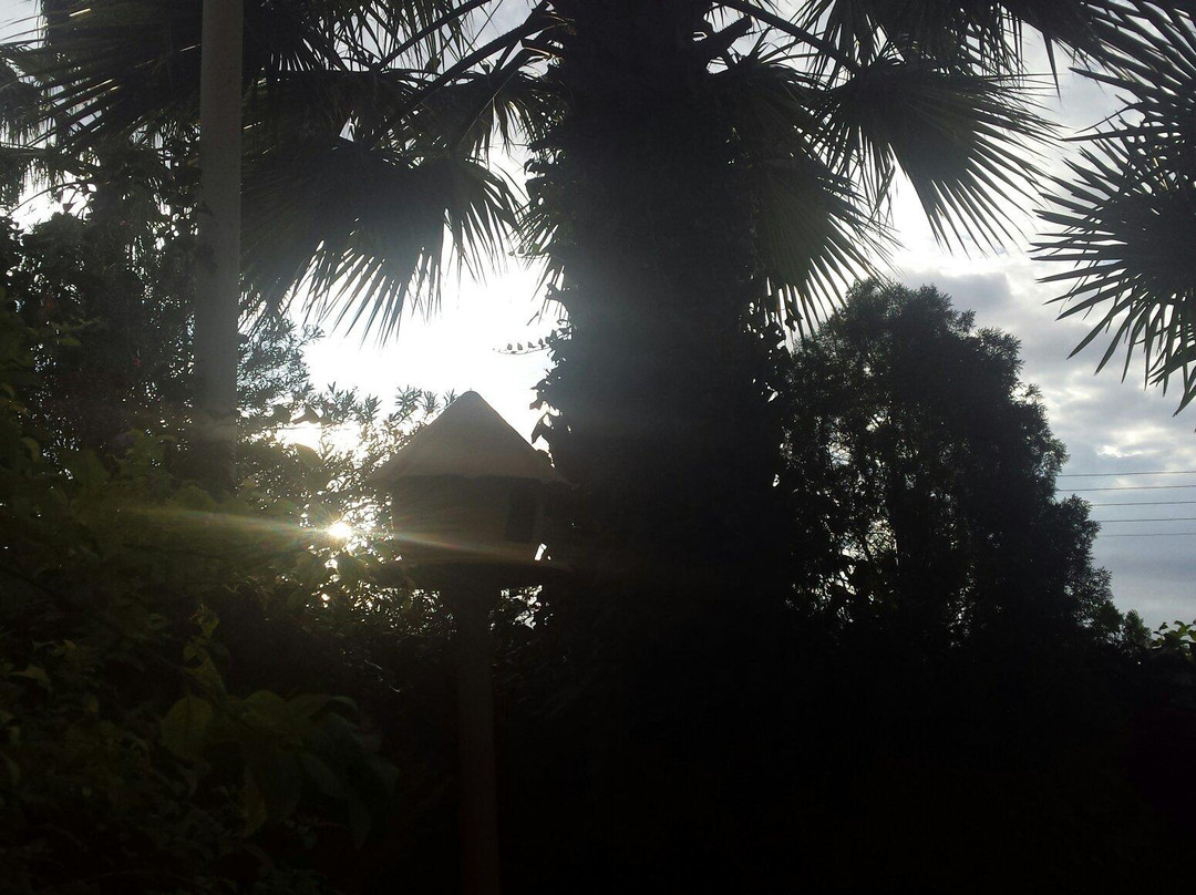 The Palms Guest House主图