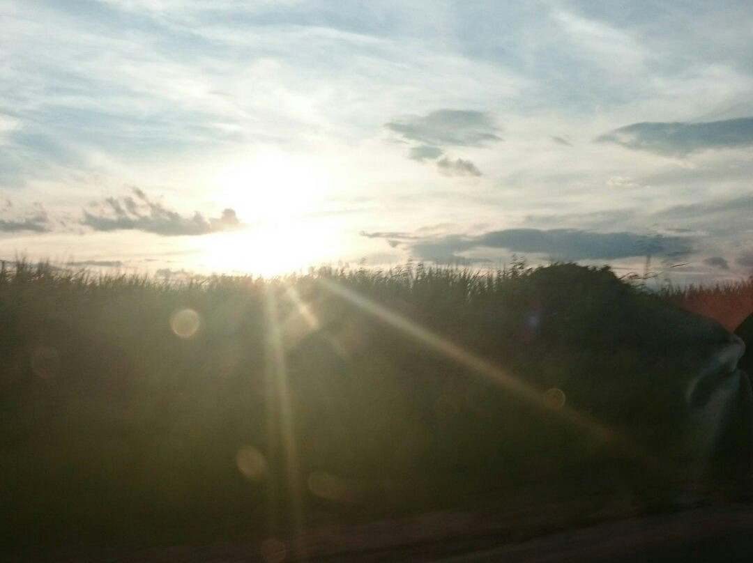 Barragem da Represa Laranja Doce-Martinopolis必去景点