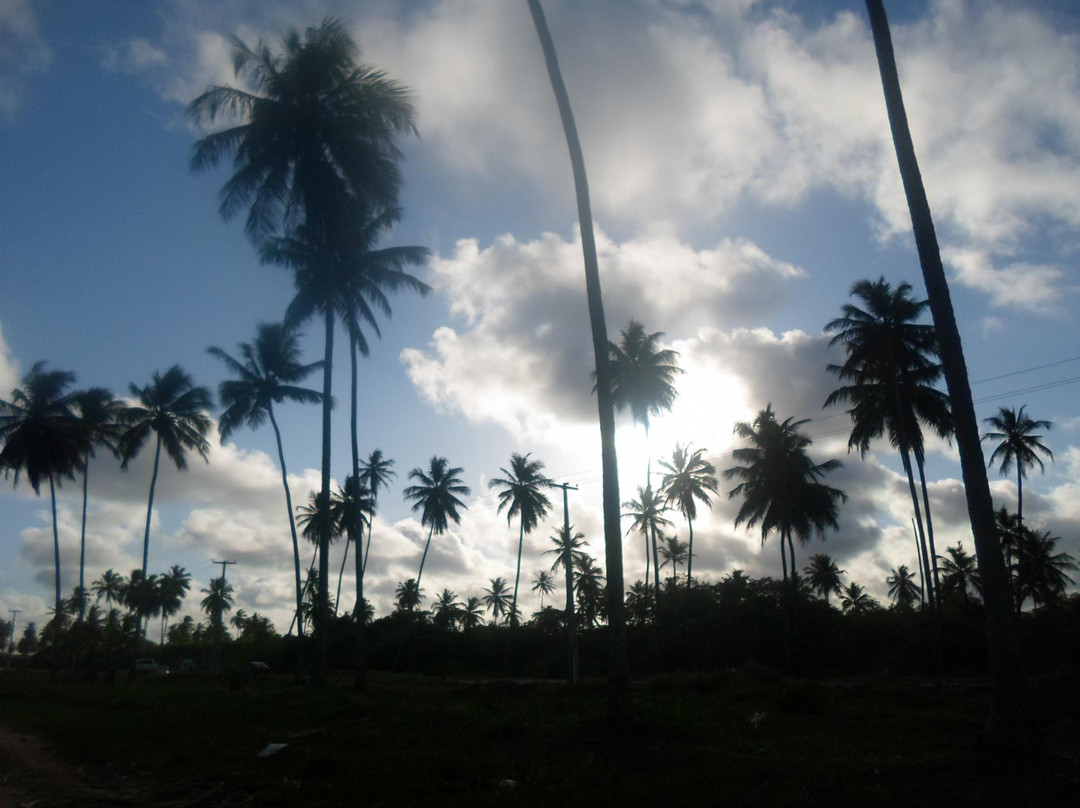 Ponta do Coqueiro Beach-Pitimbu必去景点