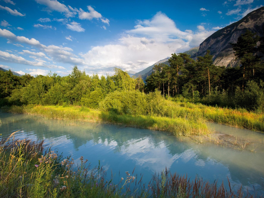 Pfyn-Finges Nature Park景点图片