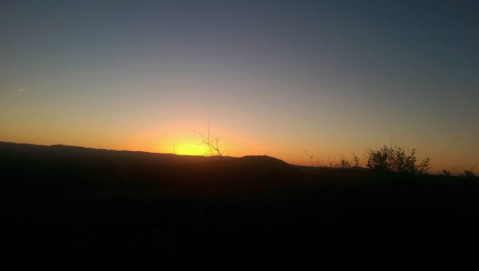 Aliso & Wood Canyons Wilderness Park-拉古纳尼格必去景点