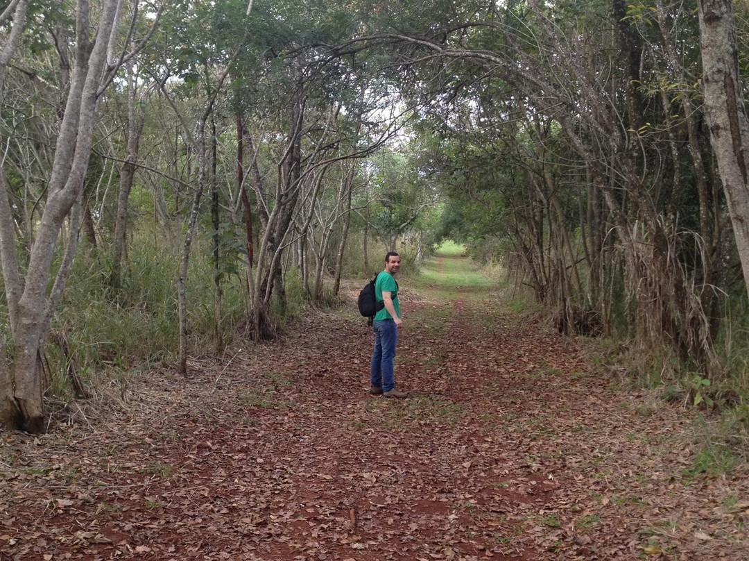 Parque Estadual Mata dos Godoy-Londrina必去景点