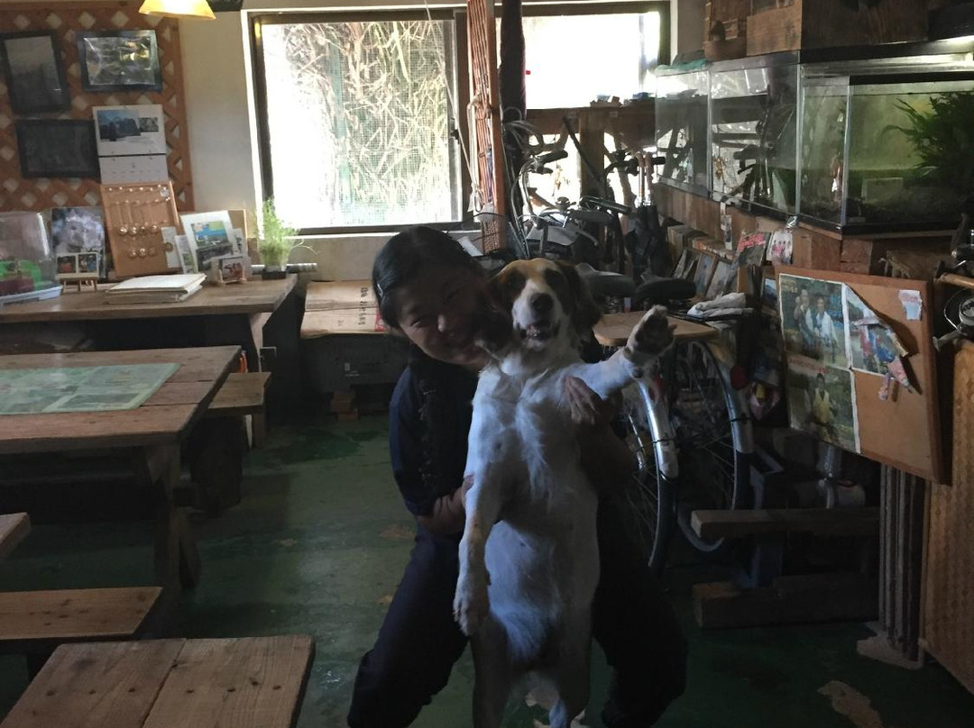 ロビンソン小屋