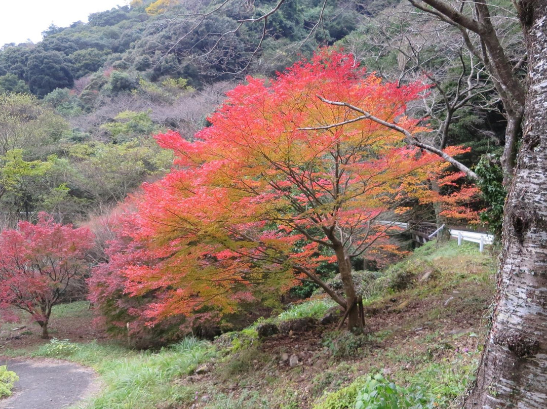 Ryumonkyo景点图片