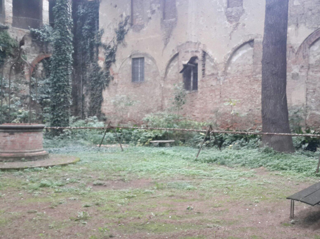 Biblioteca Comunale Manfrediana景点图片