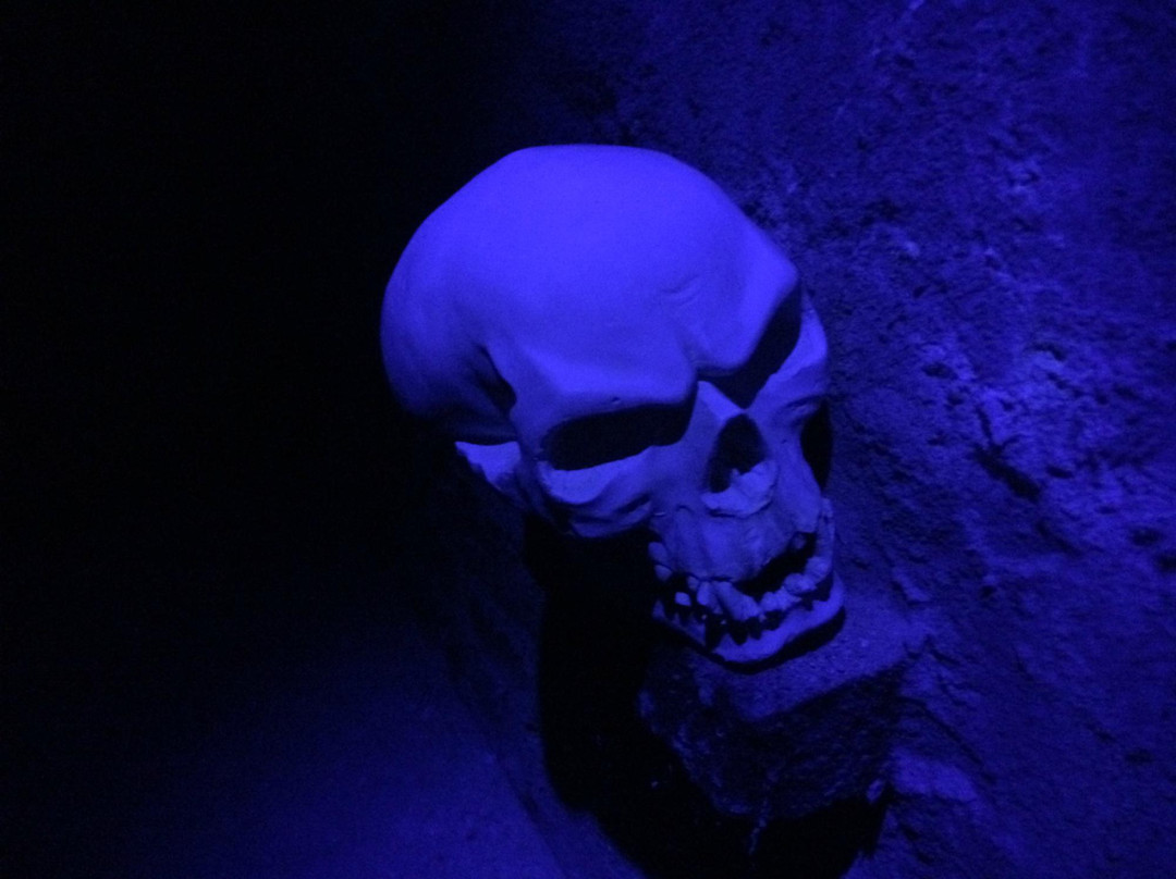 Mission Exit-马格德堡必去景点