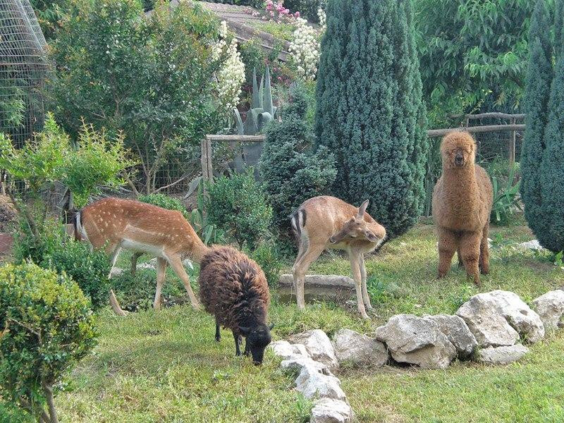 Il Giardino Segreto景点图片