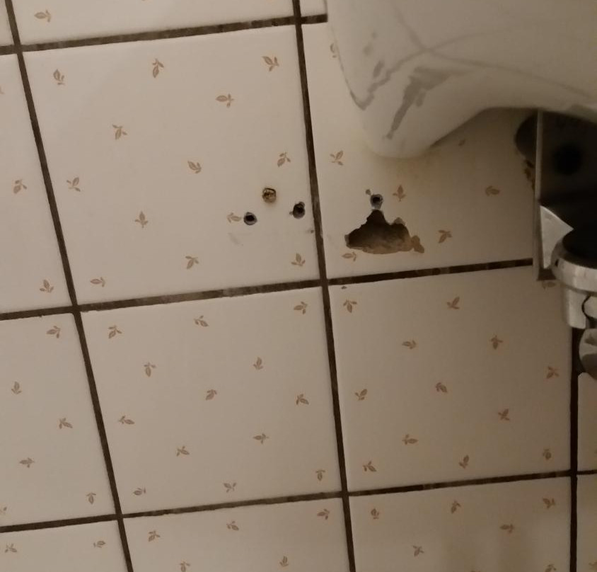 Hotel Zur Traube主图