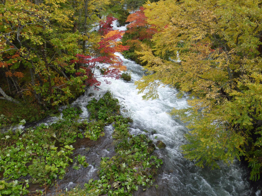 Takimi Bridge-钏路市必去景点