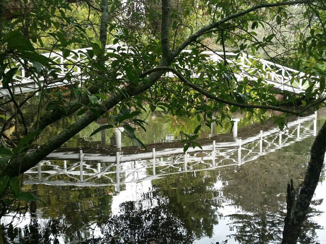 Queen's Gardens景点图片