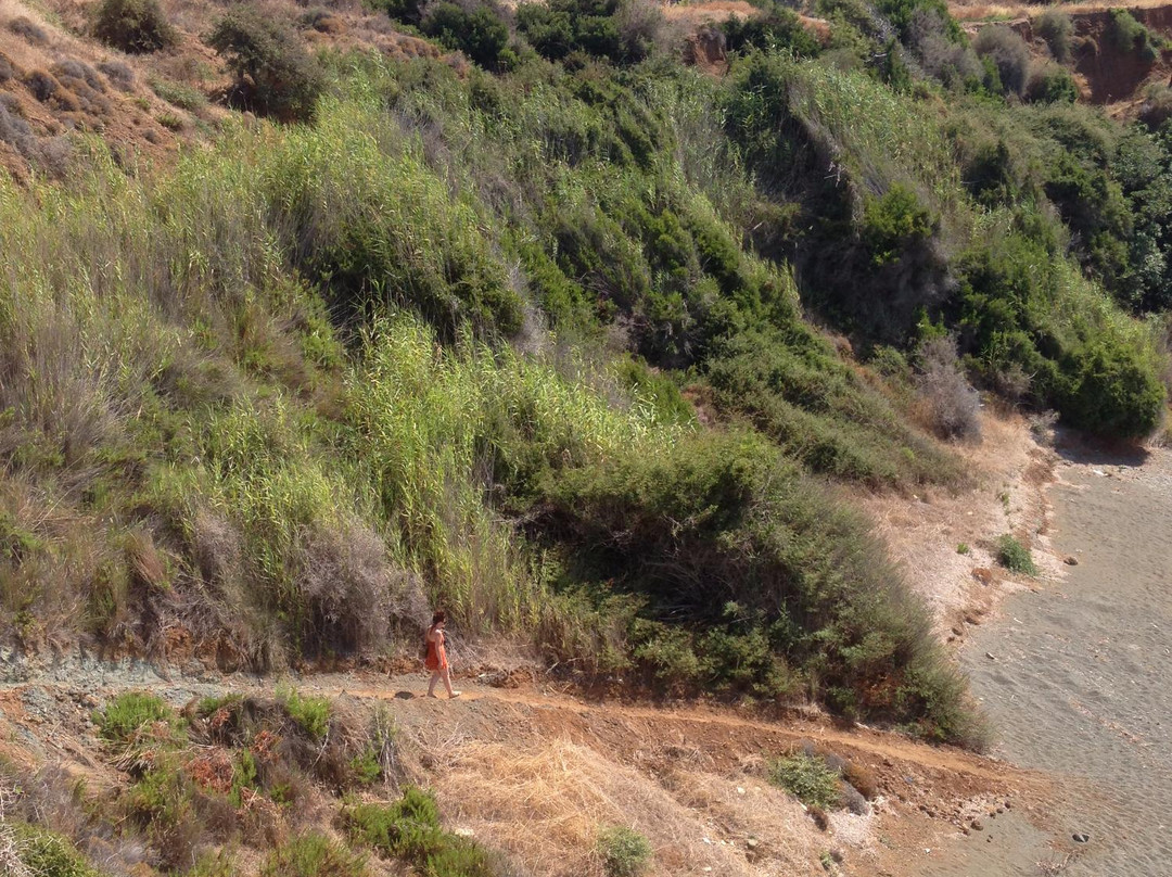Paradise Place-帕福斯必去景点