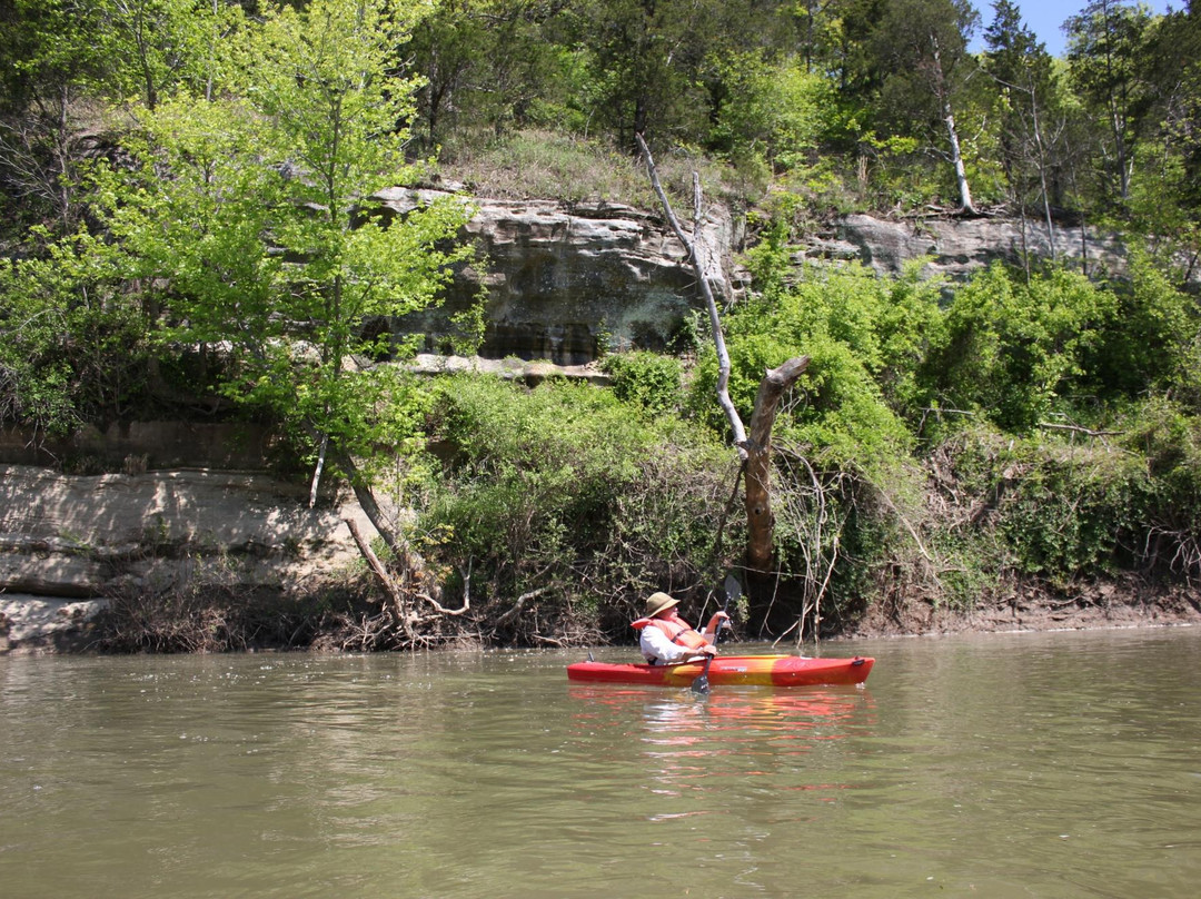 Forest 44 Canoe Rentals景点图片
