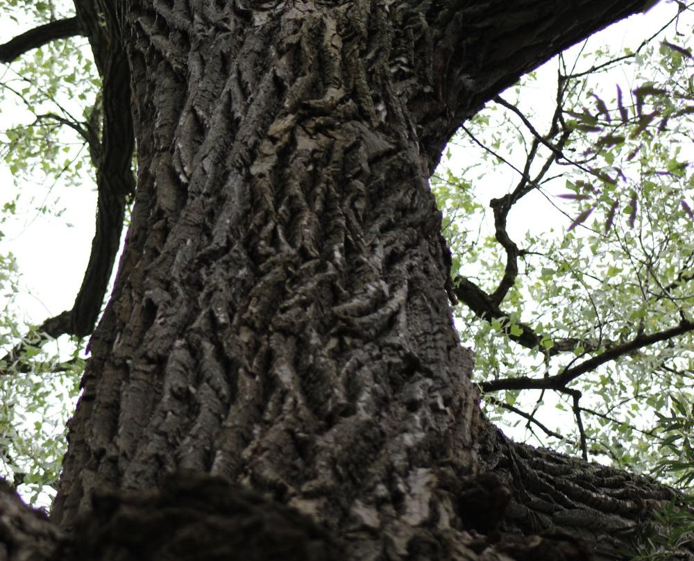 Baraboo Riverwalk-巴拉布必去景点