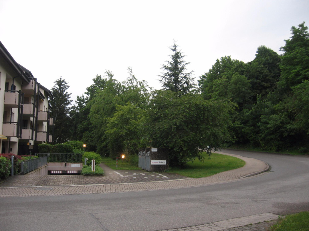 Kurpark Bad Bellingen景点图片