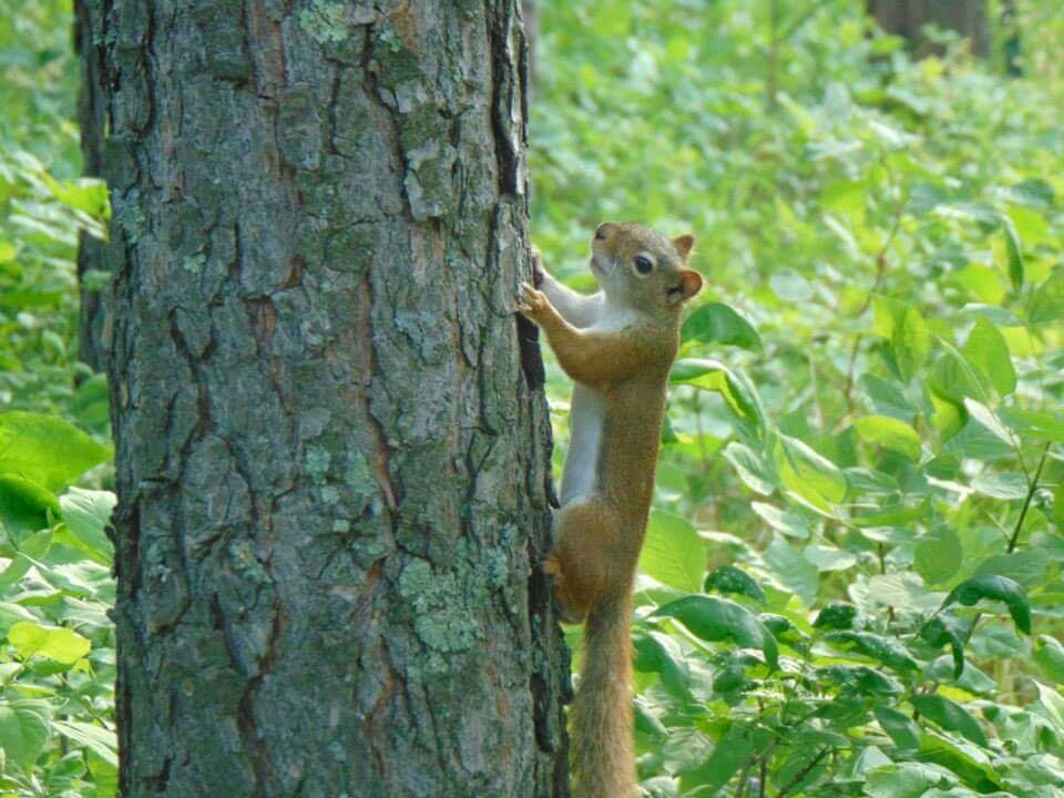 Pembina Valley Provincial Park-Morden必去景点